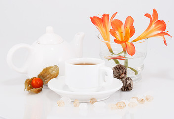 Still life with herbal tea