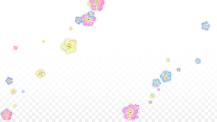 Colorful Vector Realistic Petals Falling on Transparent Background.  Spring Romantic Flowers Illustration. Flying Petals. Sakura Spa Design. Blossom Confetti. Design Elements for Wedding Decoration.