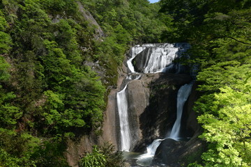 Fototapeta na wymiar 栃木県袋田の滝