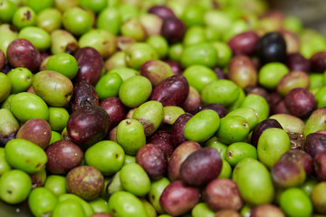 Olive fruit