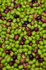 Olive fruit