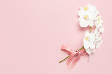 Fototapeta premium Beautiful White Phalaenopsis orchid flowers on pastel pink background top view flat lay. Tropical flower, branch of orchid close up. Pink orchid background. Holiday, Women's Day, Flower Card, beauty