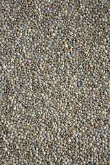 Dry green french lentils, top view. Close-up.