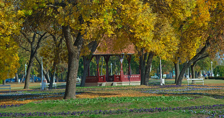 Fototapeta na wymiar Open shed in park surrounded with trees during autumn time