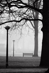 Lantern, bench and trees in the park in the fog