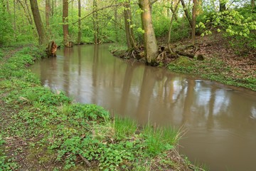  The drive of the mill full of water. East Moravia. Europe.