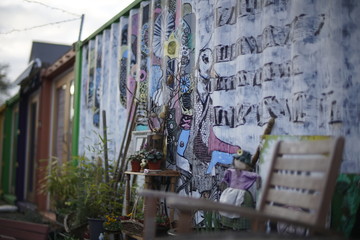 Plants and dolls
