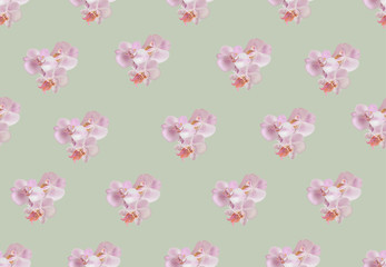 Vector seamless pattern with beautiful pink orchids.