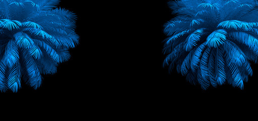 3d render of neon palm leaves on the black. Banner design. Retrowave, synthwave, vaporwave illustration.
