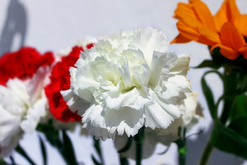 white carnation in a bouquet of flowers