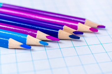colored pencils bilateral in the set 