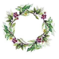 Laurel wreath. Watercolor..