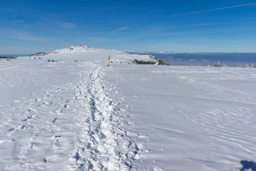 Fototapeta na wymiar Amazing winter landscape of Plateau (Platoto) area ат Vitosha Mountain, Sofia City Region, Bulgaria