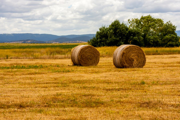Yellow ripe haystacks of wheat, field in the South Australia. Rural landscape.