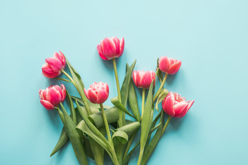Bouquet of red tulip on blue. Top view with copy space.