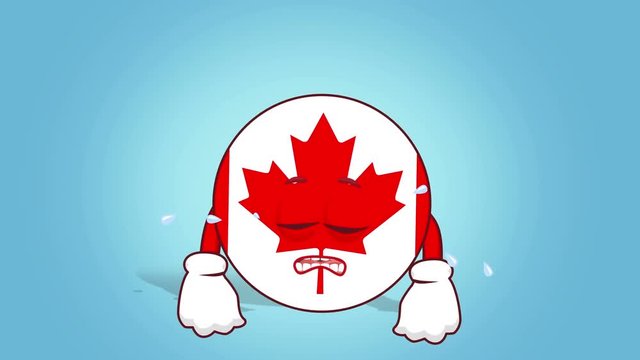 Cartoon Icon Flag Canada with Face Animation Cry with Alpha Matte