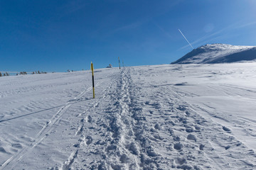 Amazing winter landscape of Plateau (Platoto) area ат Vitosha Mountain, Sofia City Region, Bulgaria