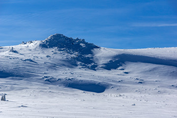 Fototapeta na wymiar Amazing winter landscape of Plateau (Platoto) area ат Vitosha Mountain, Sofia City Region, Bulgaria