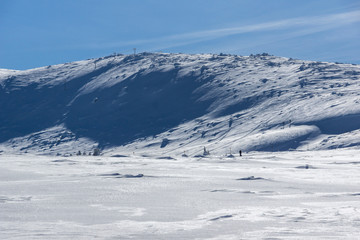 Obraz premium Amazing winter landscape of Plateau (Platoto) area ат Vitosha Mountain, Sofia City Region, Bulgaria