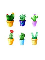 Watercolor cactus set on white background