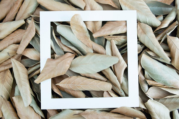 Creative layout made of Dry leaves old in brown colors background with paper card Square frame, note Blank for advertising card or invitation. Flat lay. Nature concept. Summer poster autumn leaf.
