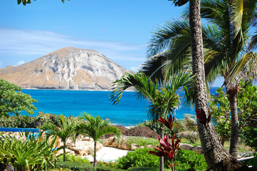 Postcard perfect view from Sea World in Honolulu, Hawaii of the turquoise ocean and island with palm trees.
