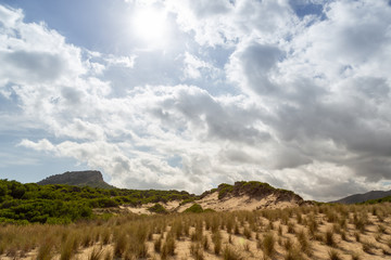 Wonderful dune landscape Cala Mesquida Mallorca Spain
