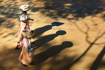 nun with pink robe,carying gods on her head going to temple 
