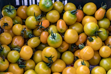 fresh tomatoes at the market