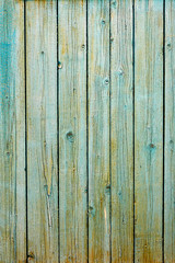 Wooden texture of light blue color
