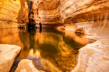 water in the canyon, E'in Ovdat nature reserve, Israel