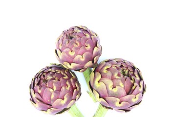 Fresh organic Artichokes on white background