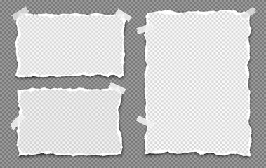 Set of torn note, notebook paper strips with squared pattern stuck with sticky tape on squared grey background. Vector illustration