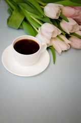 flowers tulips with white coffee Cup on blue background