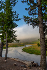 Fog over Madison River, Yellowstone National Park, Wyoming, USA