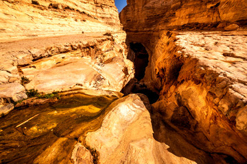 canyon at E'in Ovdat nature reserve, Israel