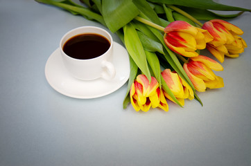 flowers tulips with white coffee Cup on blue background