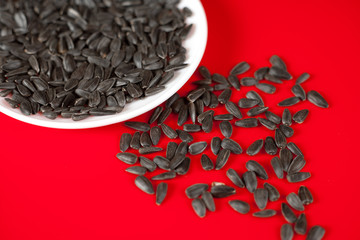 Black sunflower seeds on a red background. Top view