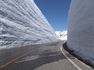 雪の大谷