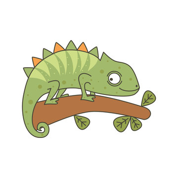 cute chameleon cartoon vector illustration isolated on white background