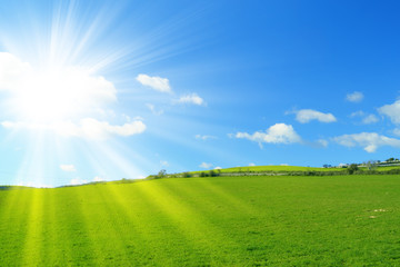 green field and blue sky