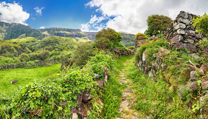 Hiking trail near Faja Grande (Flores, Azores islands)