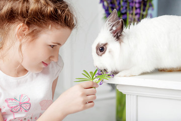 Little girl playing with real rabbit. Child and white bunny on Easter on flower background. Toddler kid feeding pet animal. Kids and pets play. Fun and friendship for animals and children.