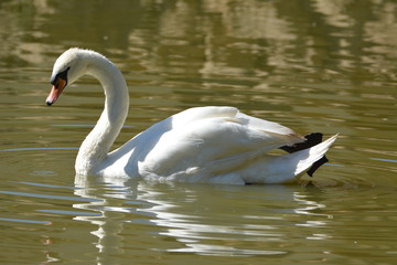 Coria del Rio (Sevilla) La Cañada de los Pajaros