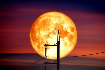 Full Sprouting Grass Moon back on silhouette power electric line and pole on night sky