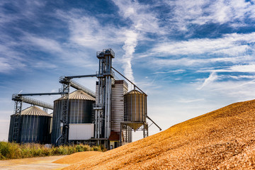 Fototapeta na wymiar Agriculture background Modern silos for storing grain harvest