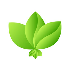 Eco Green Leaf Icon design Vector Illustration