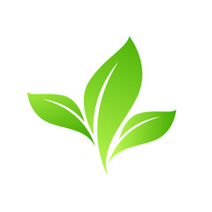 Eco Green Leaf Icon design Vector Illustration