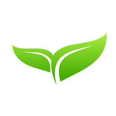 Eco Green Leaf Icon design Vector Illustration