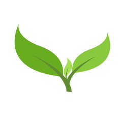 Eco Green Leaf Icon design Vector Illustration